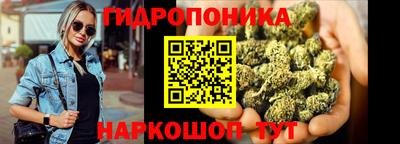 сатива Волгодонск