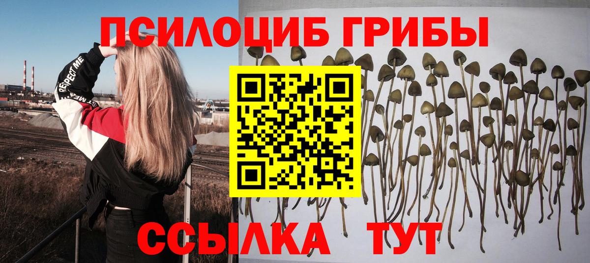 Псилоцибиновые грибы MAGIC MUSHROOMS  Вход с VPN  Менделеевск  Псилоцибиновые грибы GOLDEN TEACHER 