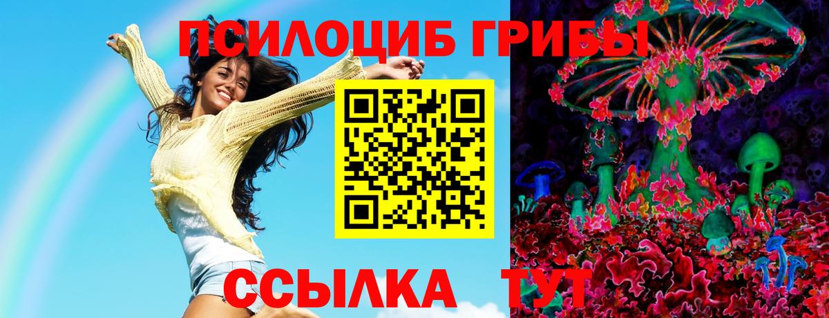 Псилоцибиновые грибы Psilocybe Менделеевск